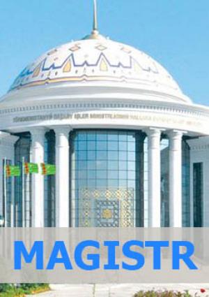 Halkara gatnaşyklary instituty (Magistratura)